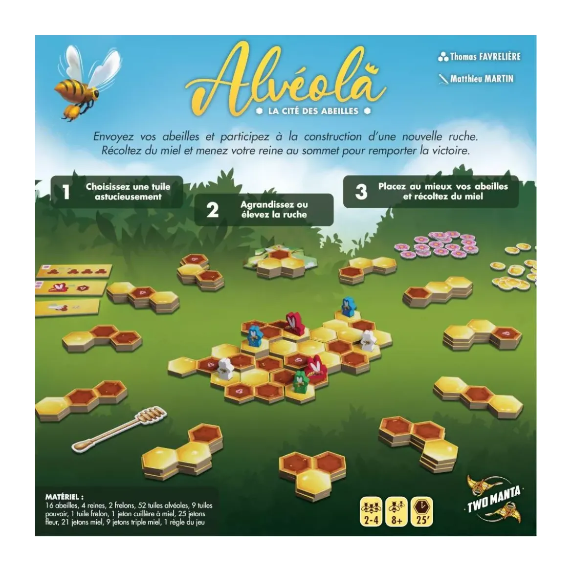 Alvéola