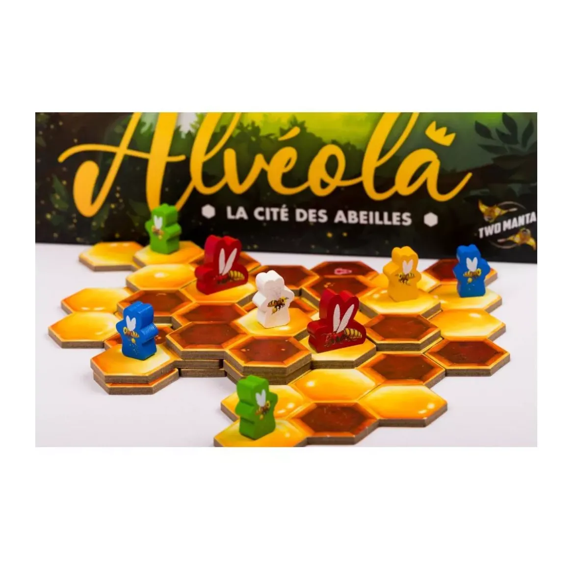 Alvéola