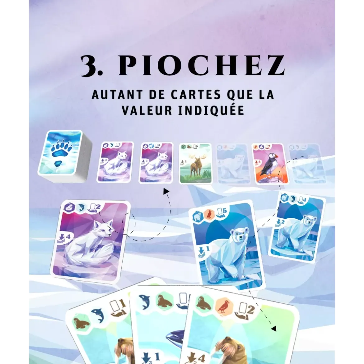 Arctic