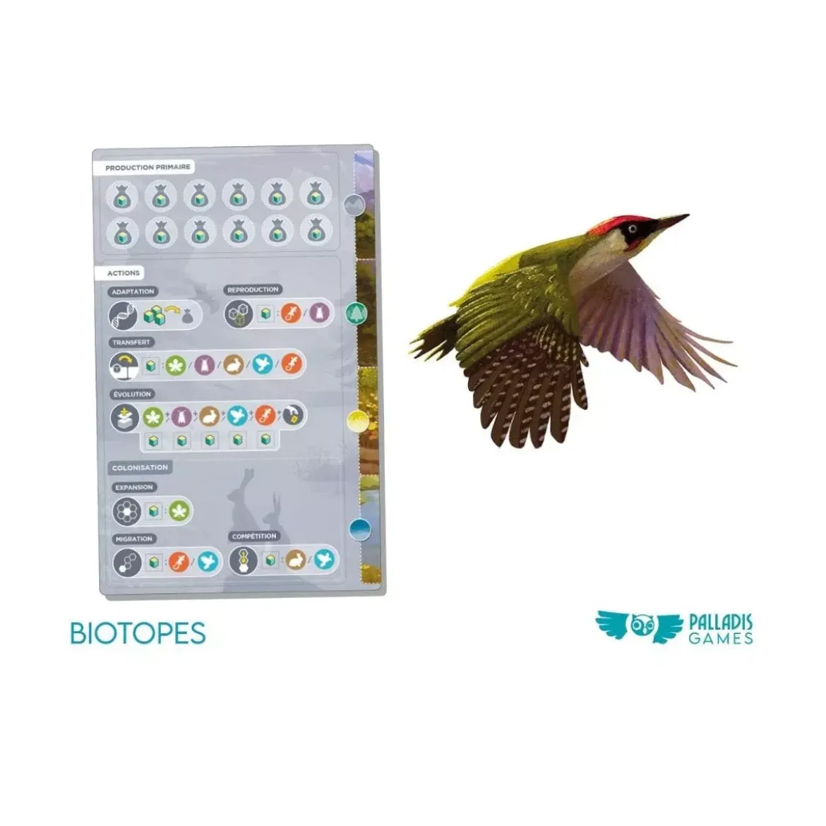 Biotopes - Version boutique