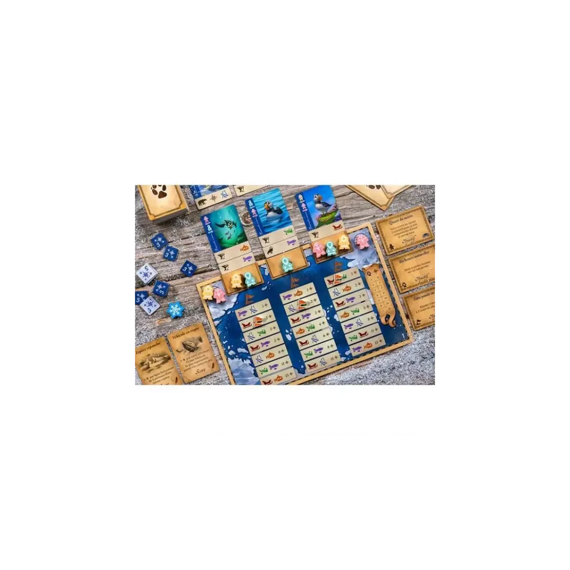 Borealis : Expéditions Arctiques