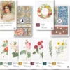 Botany : Regal Roses - Extension - Version Anglaise