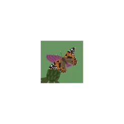 Bugs Buddy