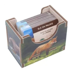 Cascadia - Colour Insert - Rangement pour Boîte Folded Space
