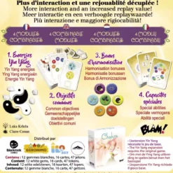 Chakra : Yin Yang - Extension