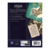 Chroniques Oubliées Fantasy 2ème Édition : Aides de jeu pour Calice