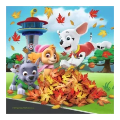 Coffret Puzzles Pat'Patrouille : Prêts à secourir - 3 x 49 pièces