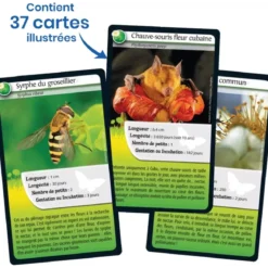 Défis Nature - Animaux : Abeilles et autres pollinisateurs