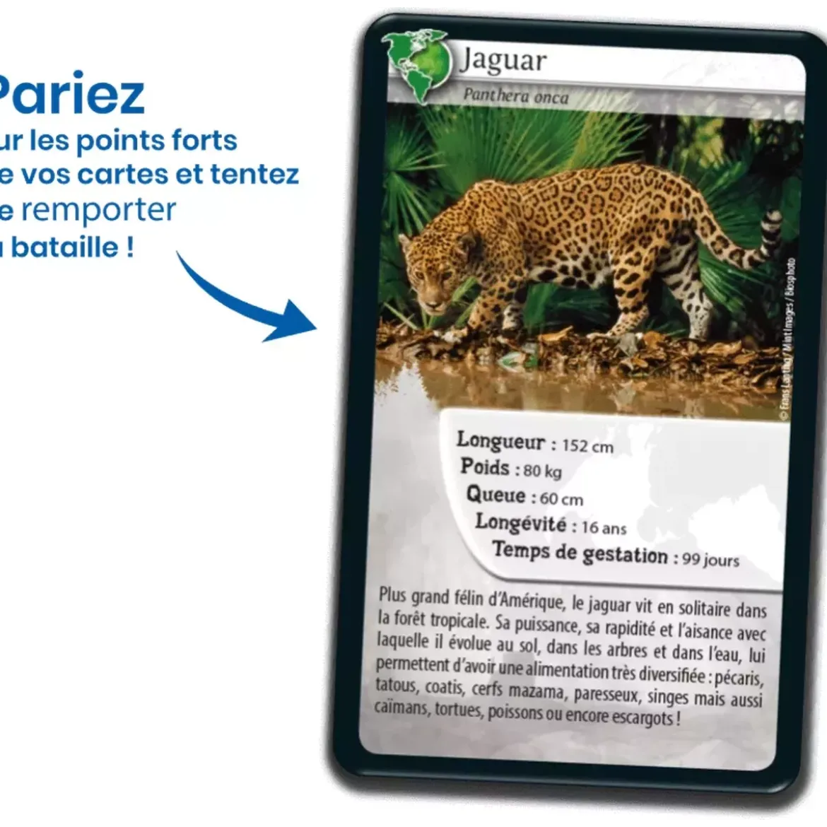 Défis Nature - Animaux : Amériques