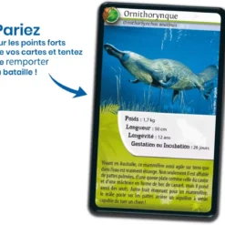 Défis Nature - Animaux : Animaux extraordinaires