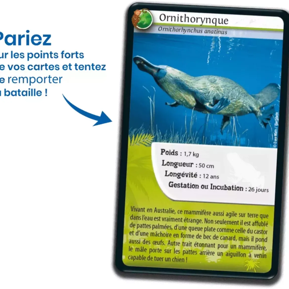 Défis Nature - Animaux : Animaux extraordinaires