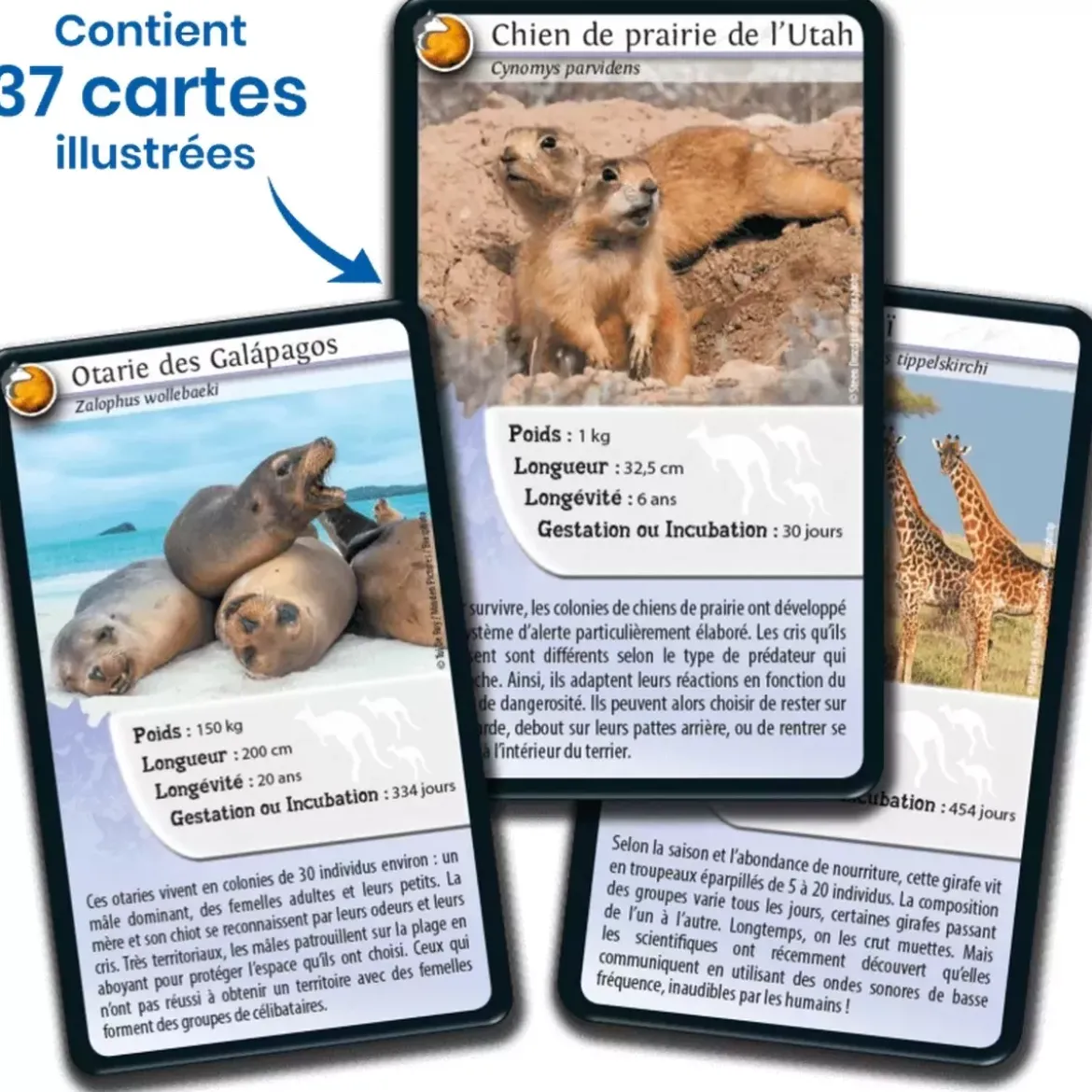 Défis Nature - Animaux : Animaux inséparables