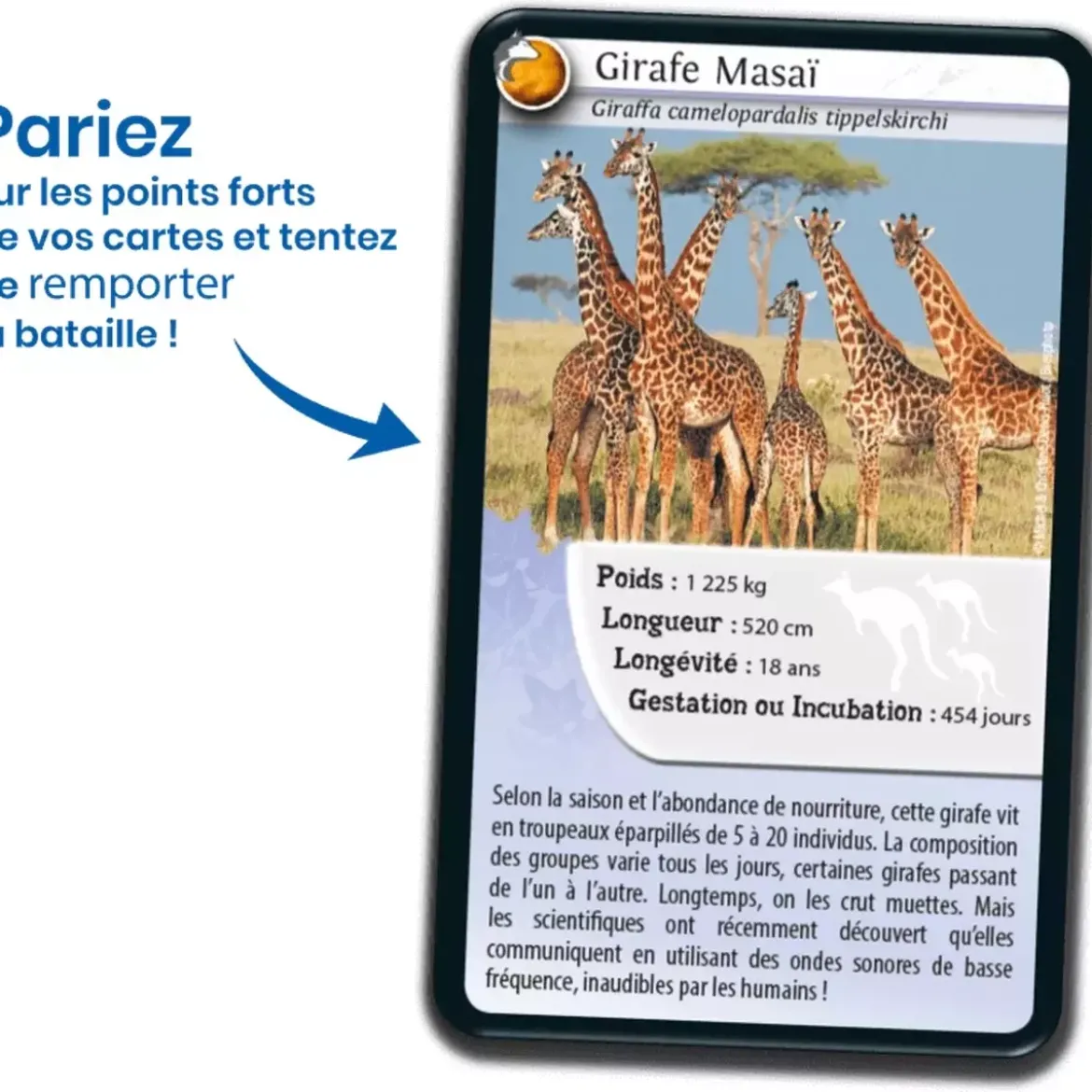 Défis Nature - Animaux : Animaux inséparables