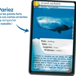 Défis Nature - Animaux : Animaux marins