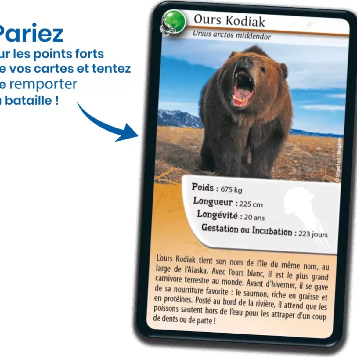 Défis Nature - Animaux : Animaux redoutables