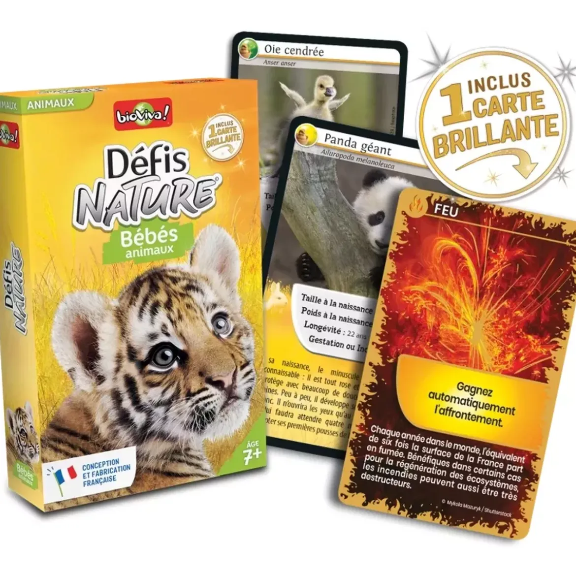Défis Nature - Animaux : Bébés animaux