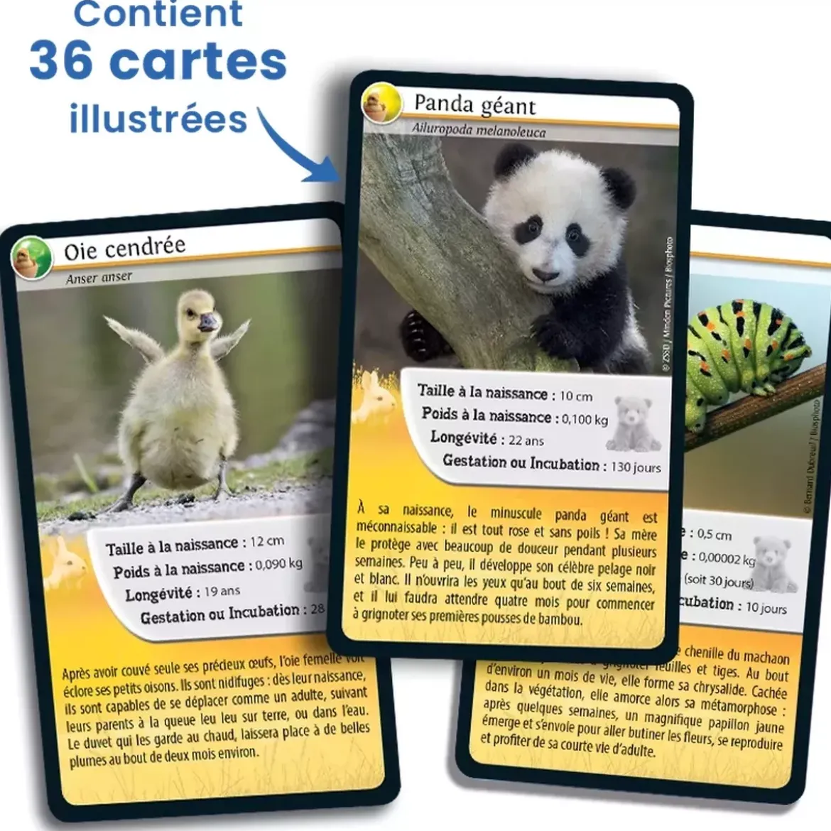 Défis Nature - Animaux : Bébés animaux