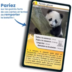 Défis Nature - Animaux : Bébés animaux