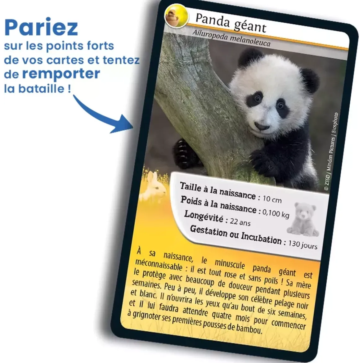 Défis Nature - Animaux : Bébés animaux