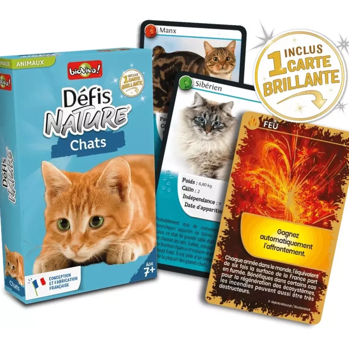 Défis Nature - Animaux : Chats