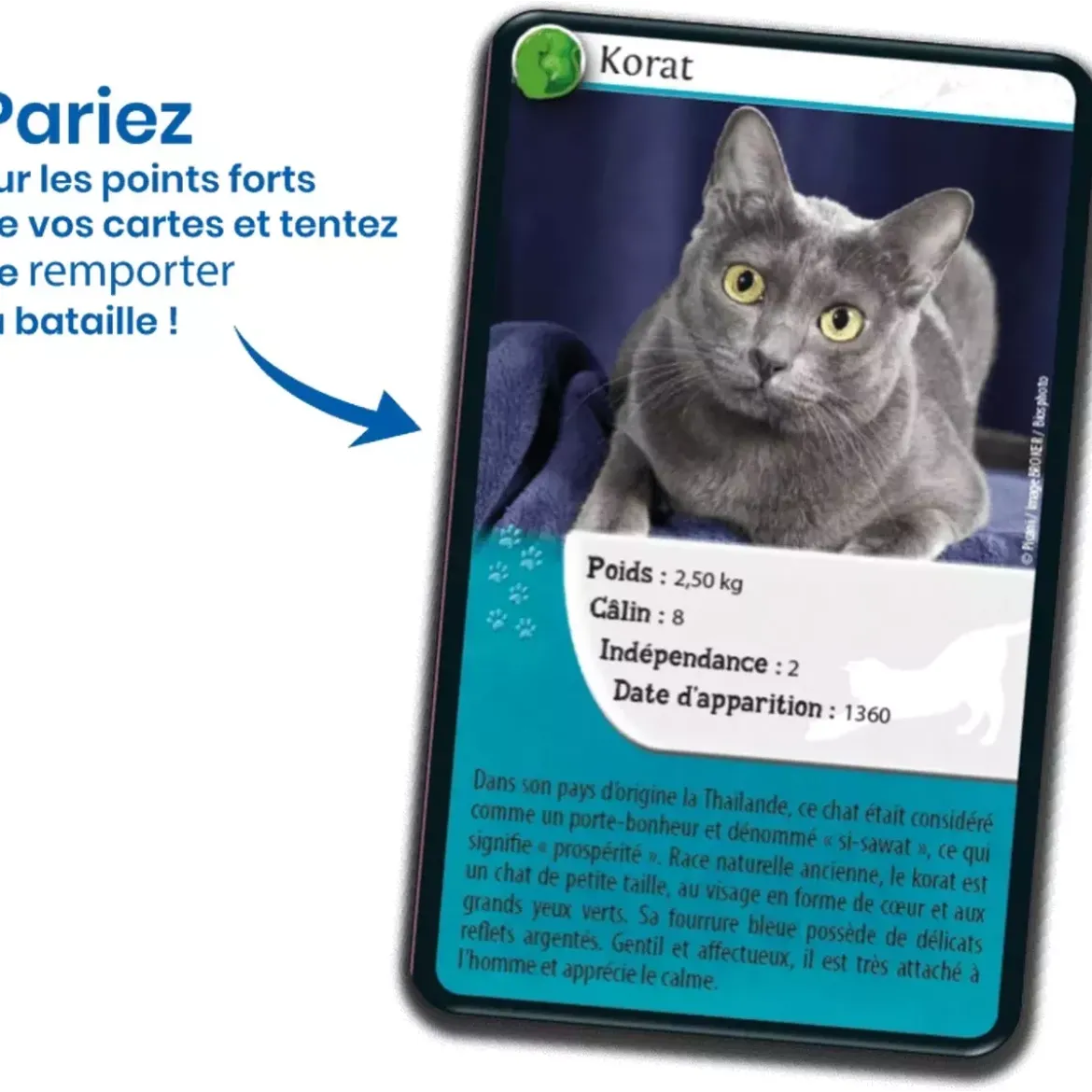 Défis Nature - Animaux : Chats