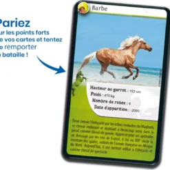Défis Nature - Animaux : Chevaux