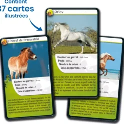 Défis Nature - Animaux : Chevaux