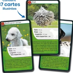 Défis Nature - Animaux : Chiens