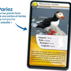 Défis Nature - Animaux : Oiseaux