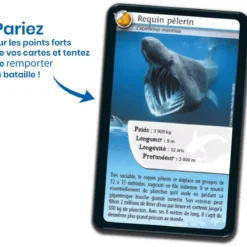 Défis Nature - Animaux : Requins