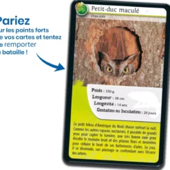 Défis Nature - Animaux : Rois du camouflage