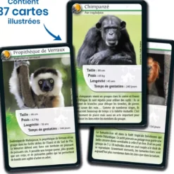 Défis Nature - Animaux : Singes et autres Primates