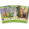 Défis Nature - Junior : Animaux de la forêt