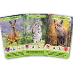 Défis Nature - Junior : Animaux de la forêt