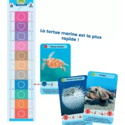 Défis Nature - Junior : Merveilles de la mer