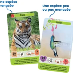 Défis Nature - Junior : Mystères de la jungle