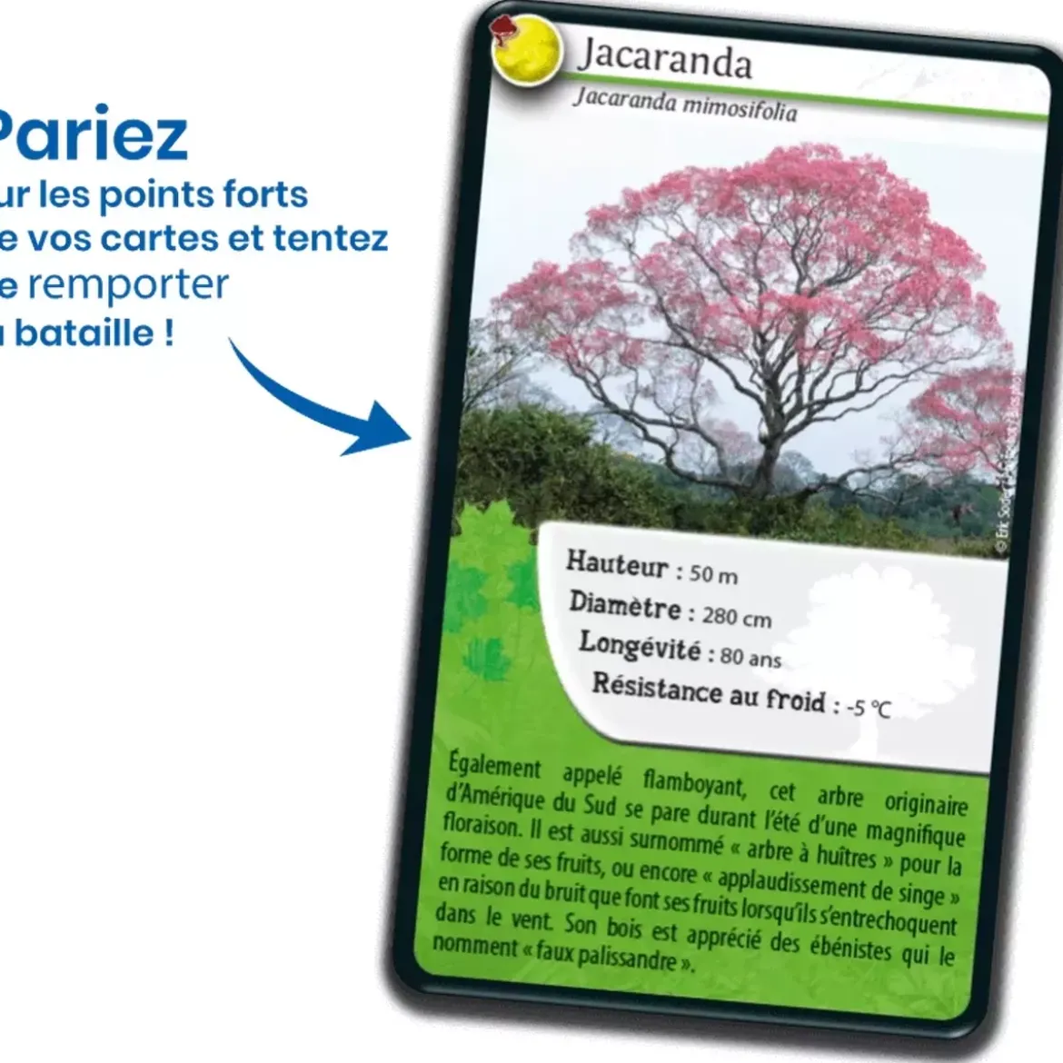 Défis Nature - Planète : Arbres du Monde