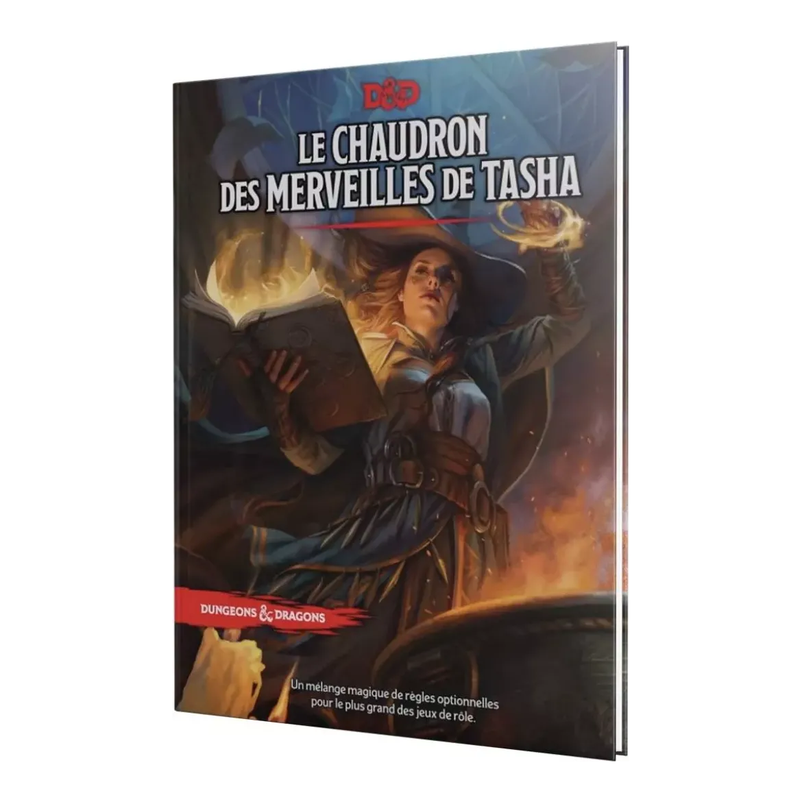 Dungeons & Dragons 5 : Le Chaudron Des Merveilles De Tasha
