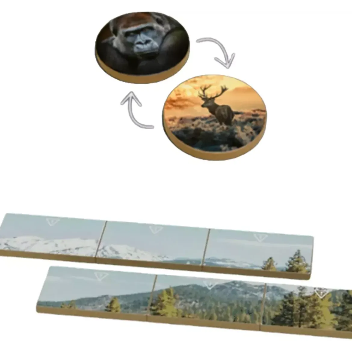 Earth : Règne Animal - KS Goodies
