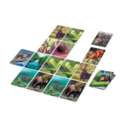 Ecosystème Forêt