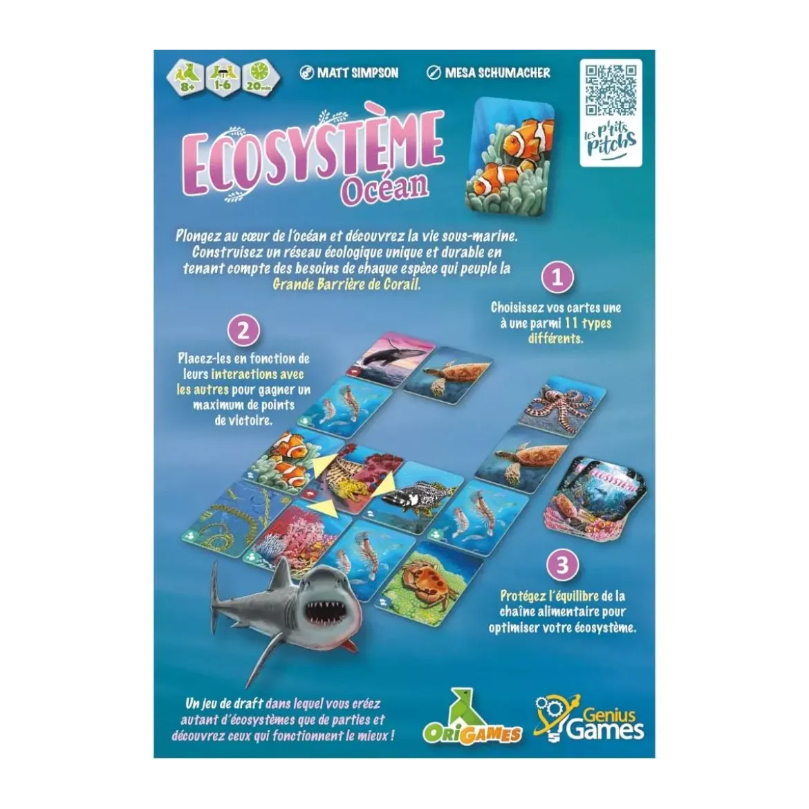 Ecosystème Océan