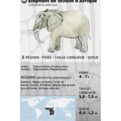 Fauna