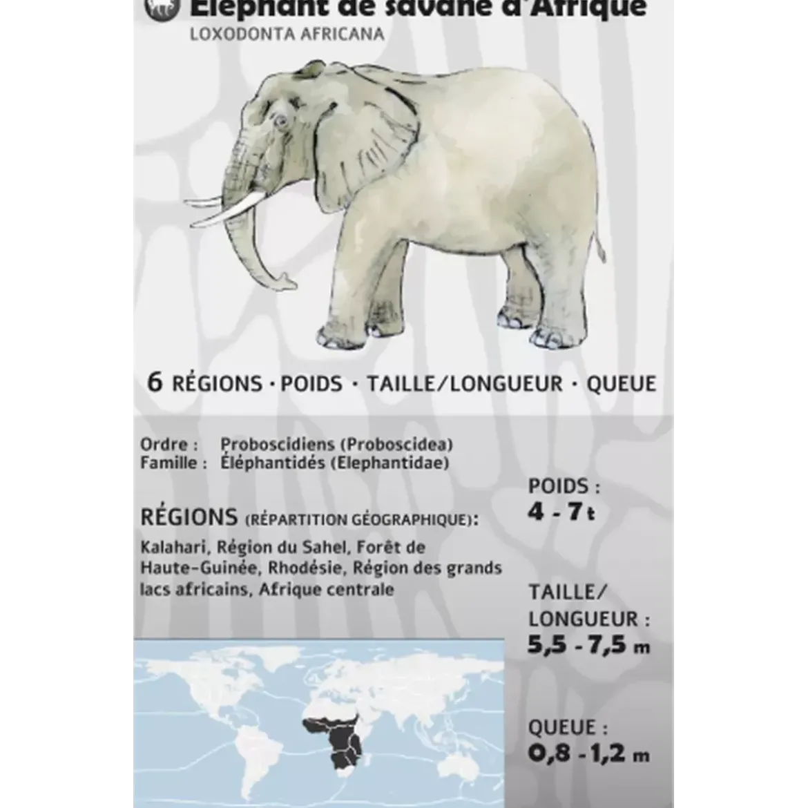Fauna