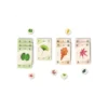 13 Feuilles