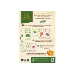13 Feuilles