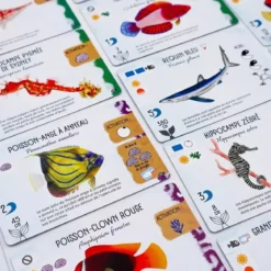 Finspan : Requins & Récifs - Extension