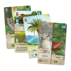 Forêt Mixte : Exploration - Extension