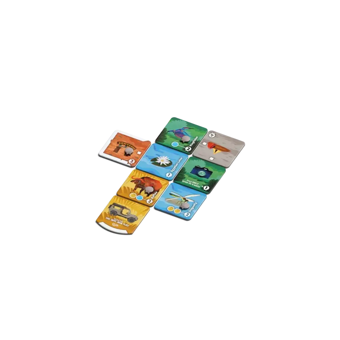 Habitats - Version Anglaise