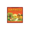 Harvest - Version Anglaise
