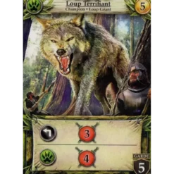 Hero Realms : Deck de Héros - Sorcier - Extension